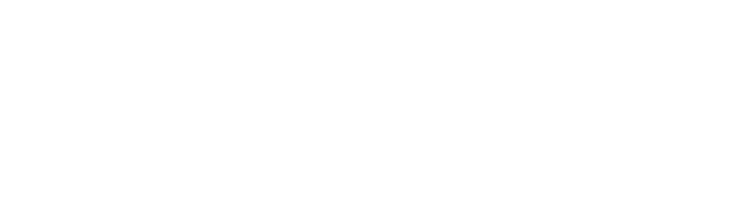 SoftVision Logo